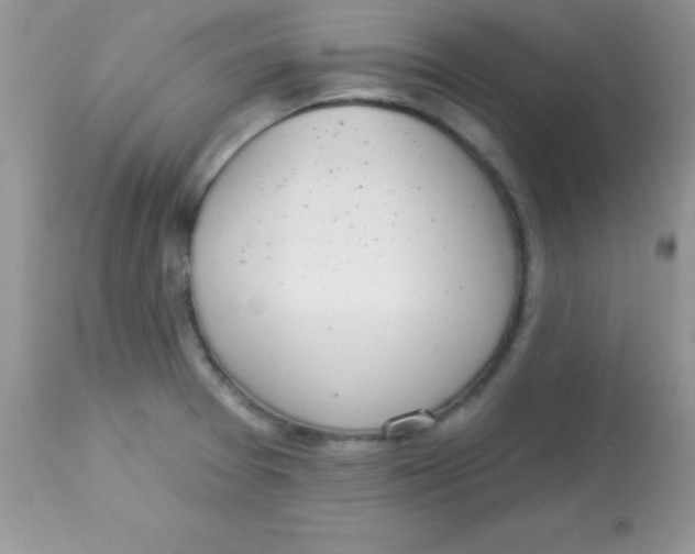X0000113101377200909182128
