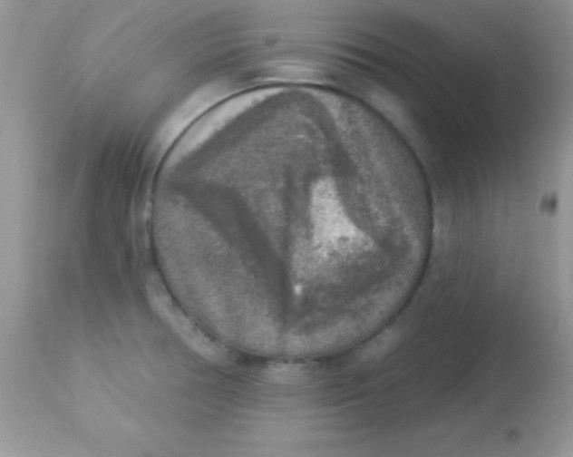 X0000113101378200909182128