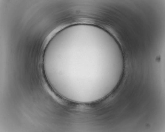 X0000113101379200909182128