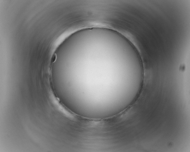 X0000113101381200909182128
