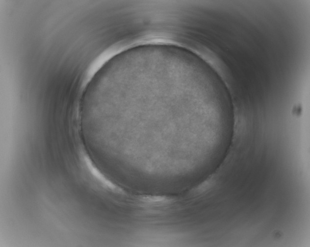 X0000113101382200909182128