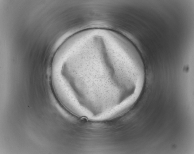 X0000113101383200909182128