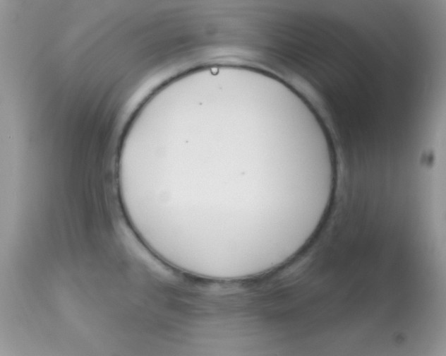 X0000113101384200909182128