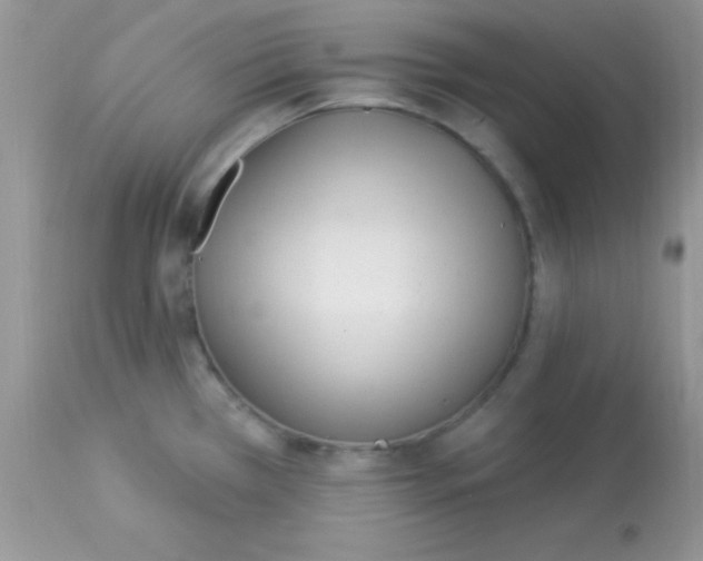 X0000113101385200909182128