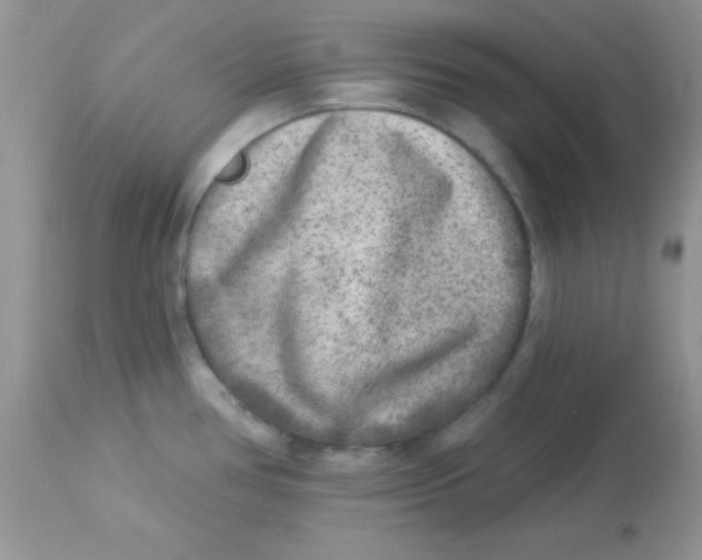 X0000113101386200909182128