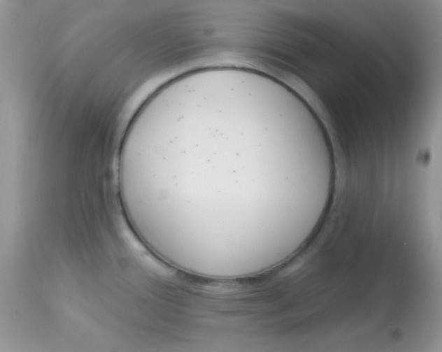 X0000113101388200909182128