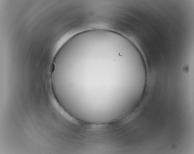 X0000113101389200909182128
