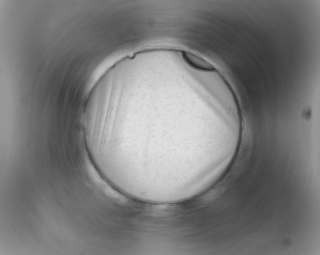 X0000113101390200909182128