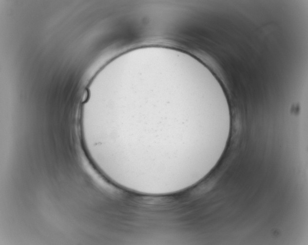 X0000113101391200909182128