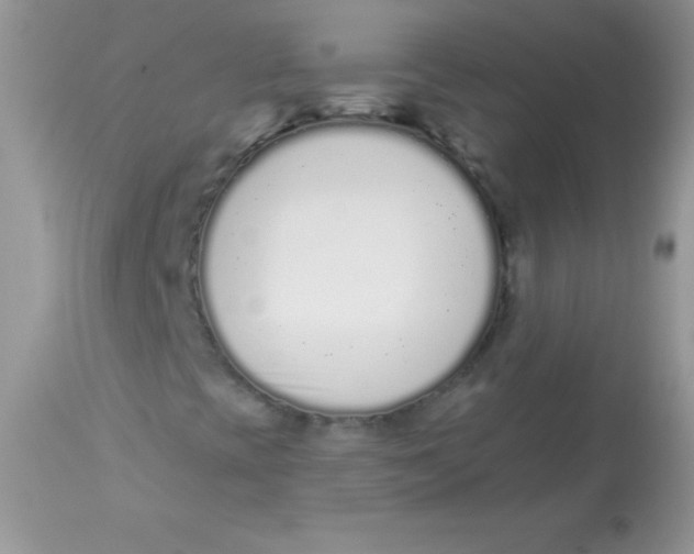 X0000113101393200909182127