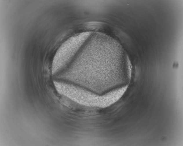 X0000113101394200909182127
