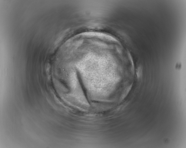 X0000113101396200909182127