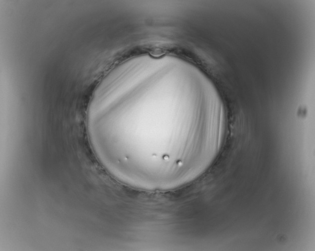 X0000113101397200909182127