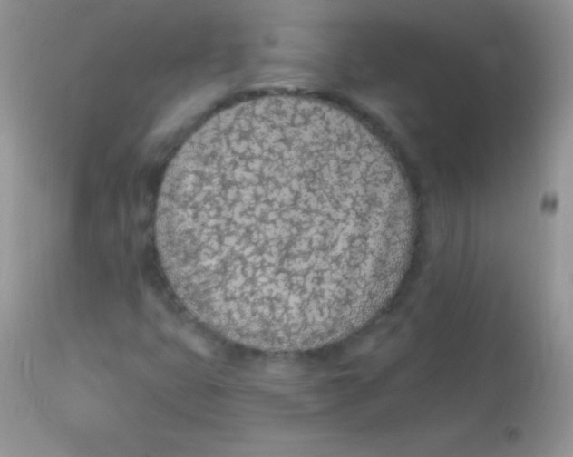 X0000113101399200909182127