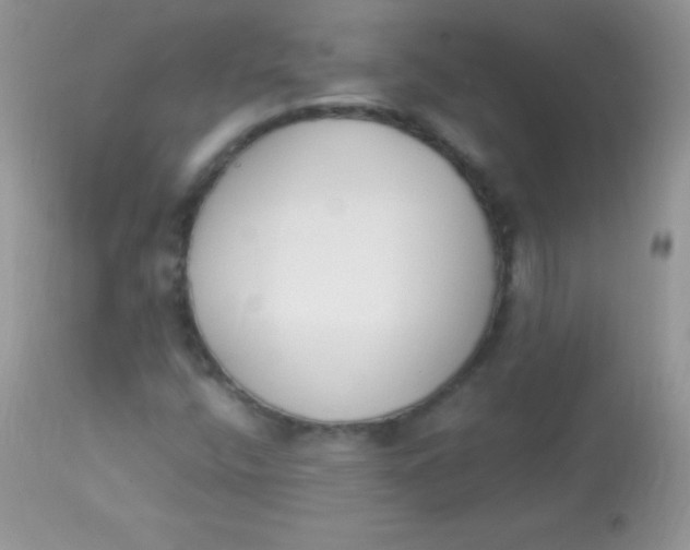 X0000113101400200909182127