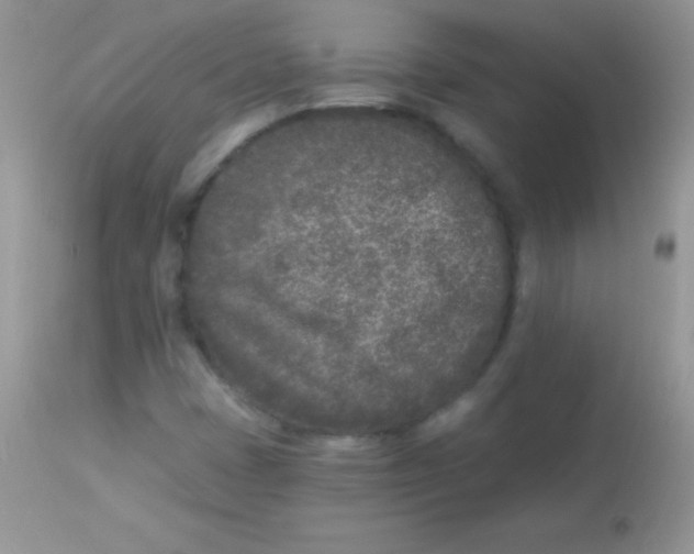 X0000113101401200909182127
