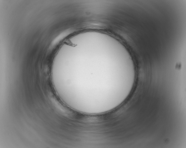 X0000113101402200909182127