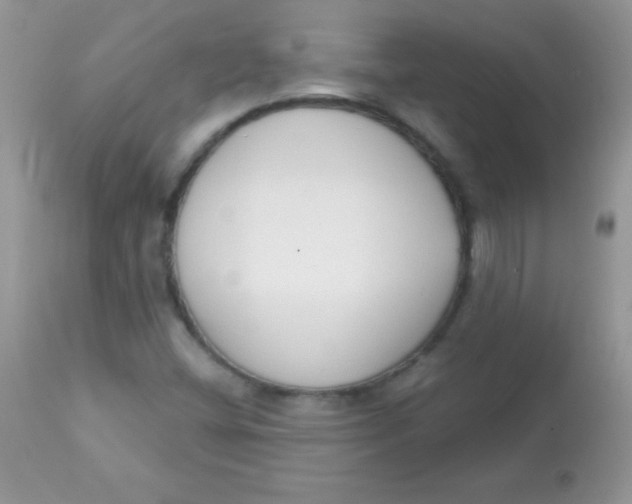 X0000113101404200909182127