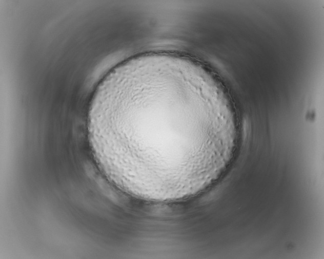 X0000113101405200909182127