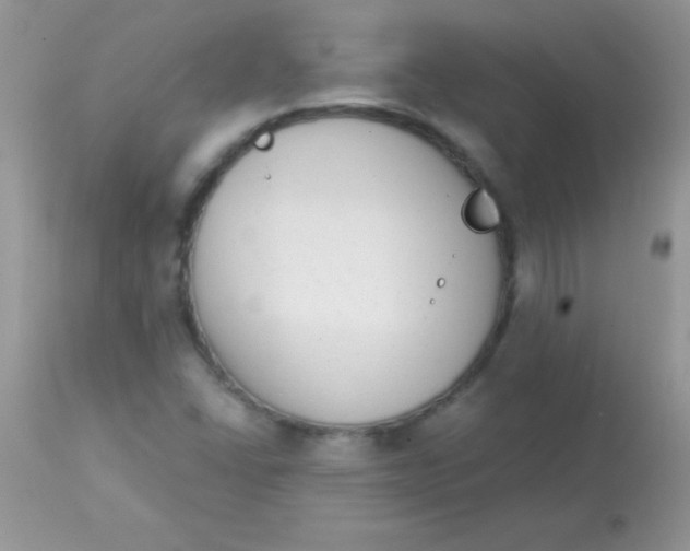 X0000113101406200909182127