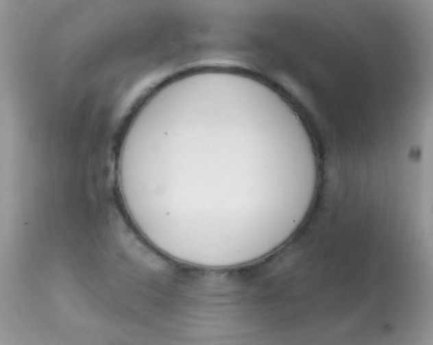 X0000113101408200909182127