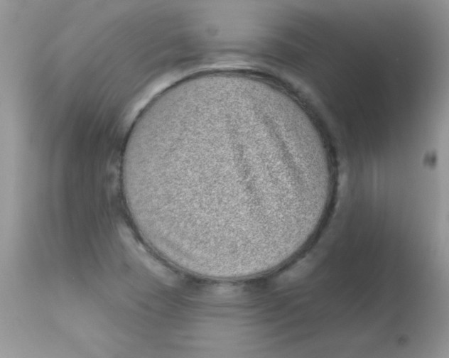 X0000113101409200909182127