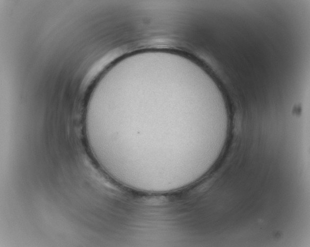 X0000113101410200909182127
