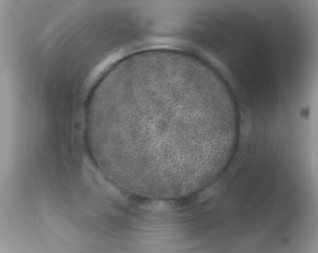 X0000113101411200909182127