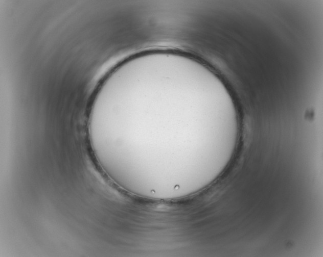 X0000113101412200909182127
