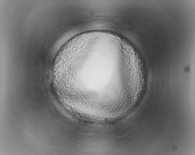 X0000113101413200909182127