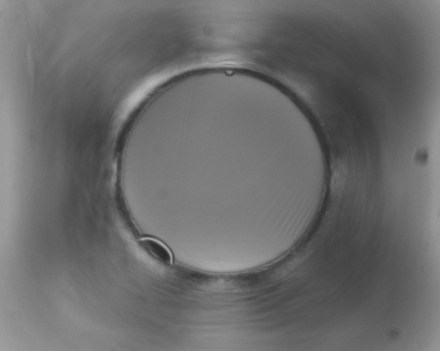 X0000113101414200909182127