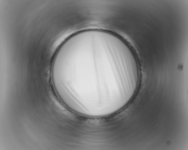 X0000113101415200909182127