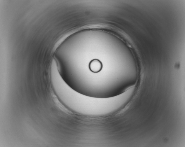 X0000113101417200909182127