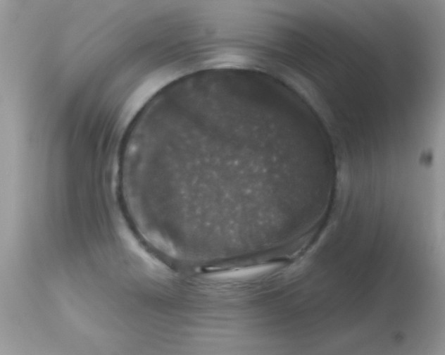 X0000113101418200909182127