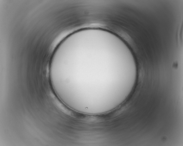 X0000113101420200909182127