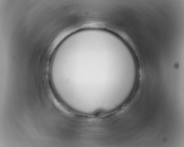 X0000113101421200909182127