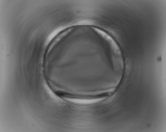 X0000113101422200909182127