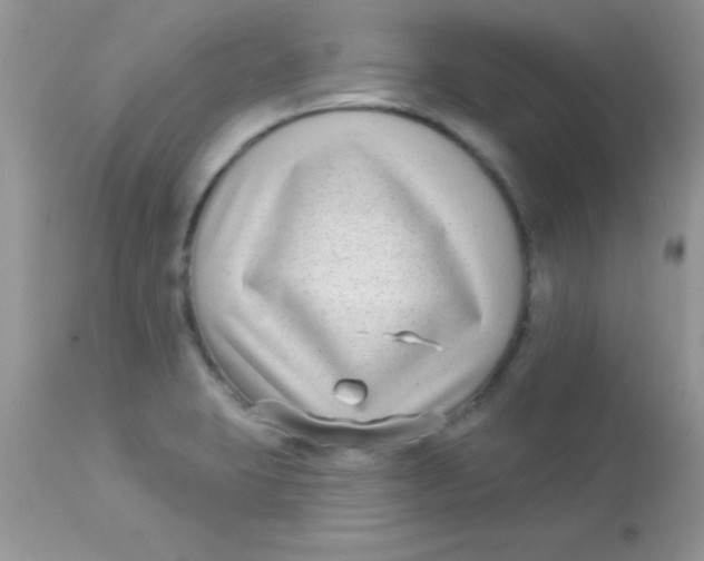 X0000113101423200909182127
