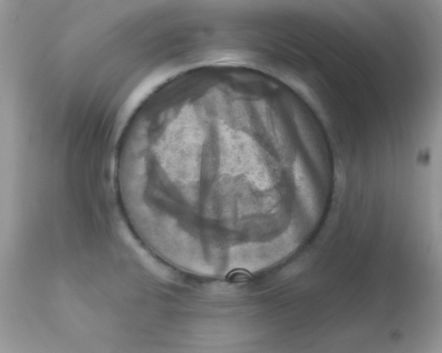 X0000113101424200909182127
