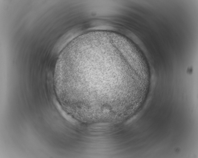 X0000113101425200909182127