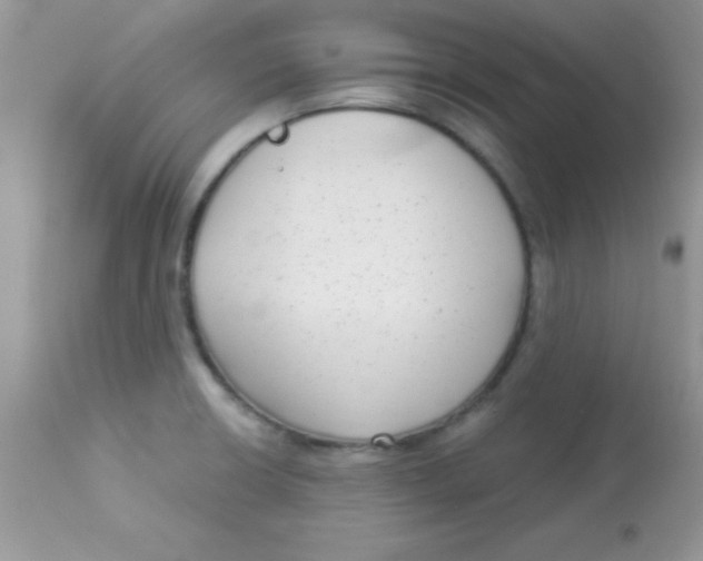 X0000113101426200909182127