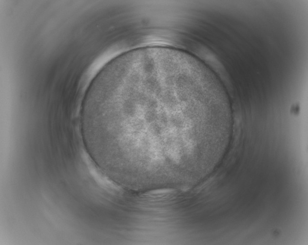 X0000113101427200909182127