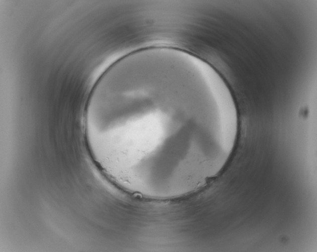 X0000113101428200909182127