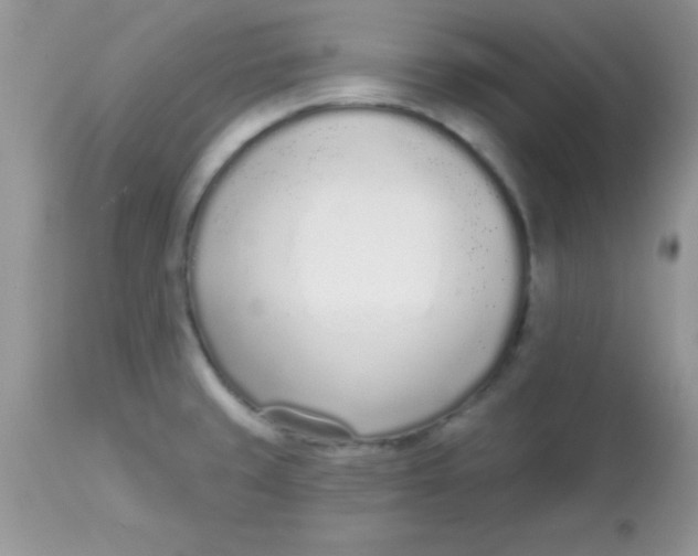 X0000113101429200909182127