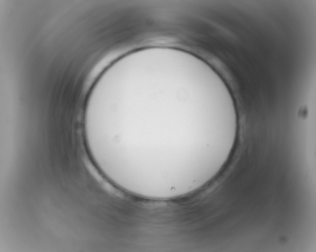 X0000113101432200909182127
