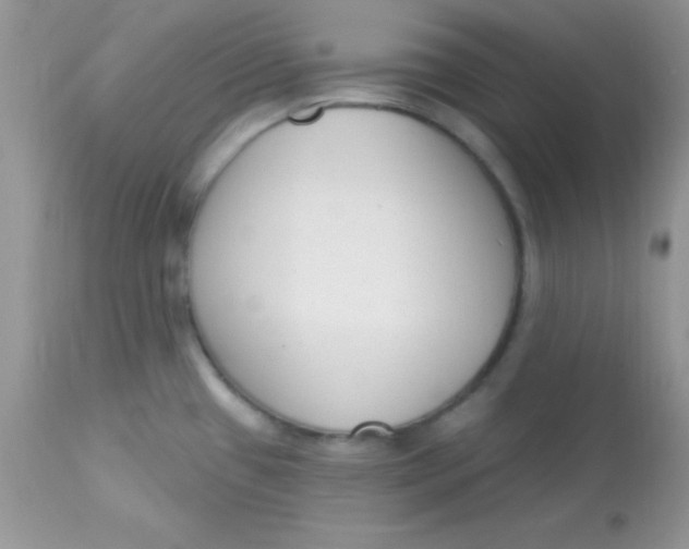 X0000113101433200909182127