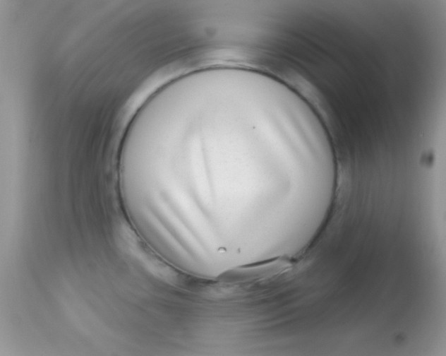 X0000113101435200909182128