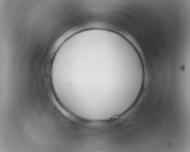 X0000113101437200909182128
