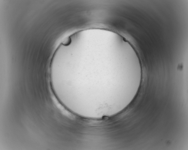 X0000113101439200909182128