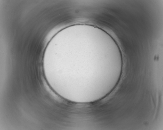 X0000113101440200909182128
